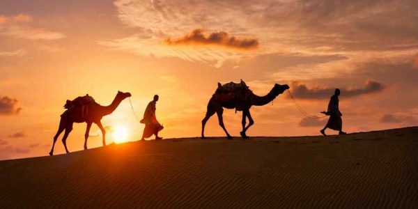 How Many Camels Am I Worth?-Significance and Insignificance