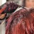 Dirty Blonde Hair Dye | 15 Perfect Ideas For All Fashion Lovers
